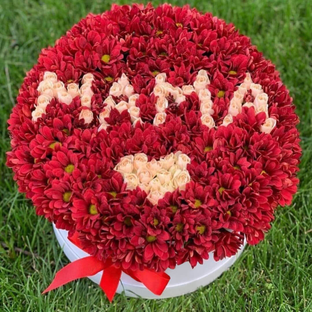 Красные хризантемы "мама" 